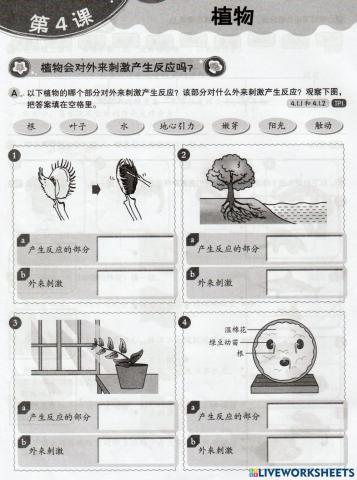 植物对外来刺激产生反应