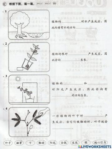 植物对外来刺激产生反应