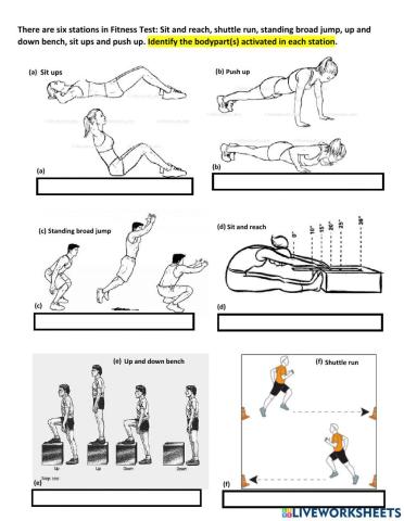 Fitness Test Revision