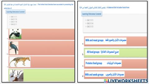 مراجعة عامة