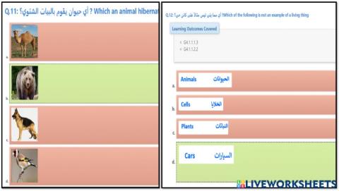 مراجعة عامة