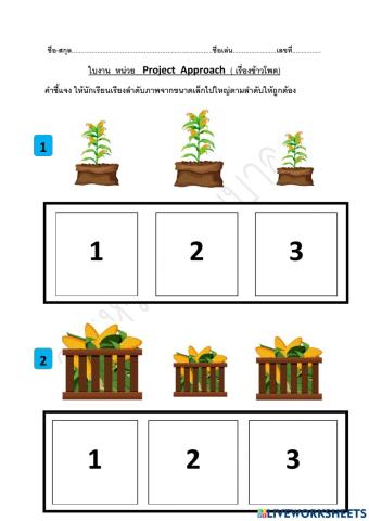 Project Approach  ข้าวโพด