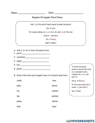 Regular-Irregular Plural Nouns