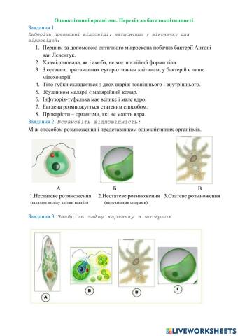 Одноклітинні організми