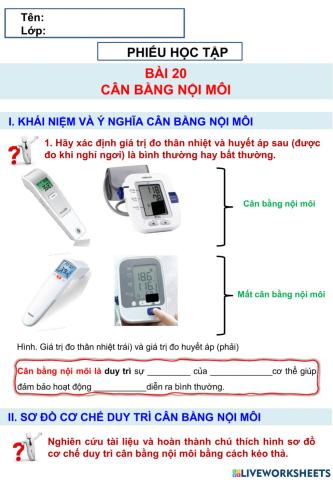 Sinh 11 - Bài 20 - Cân bằng nội môi