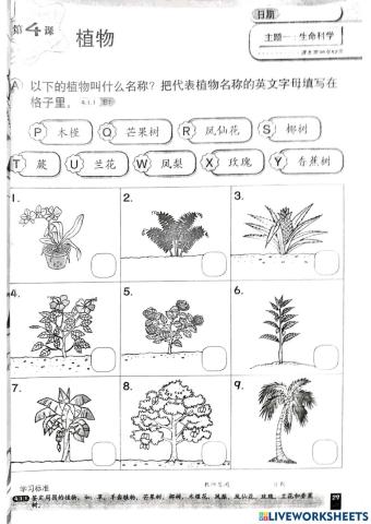 科学-植物