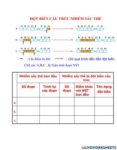 Đột biến cấu trúc NST