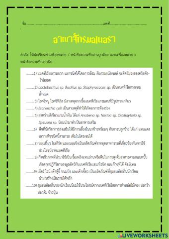 อาณาจักรมอเนอรา