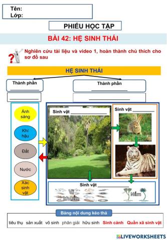 Sinh 12 - Bài 42 Hệ sinh thái