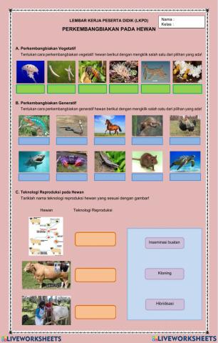 Perkembangbiakan Hewan