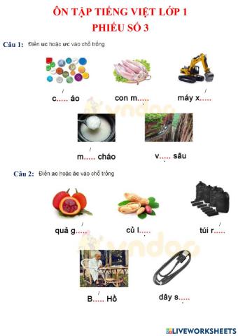 Ôn tập tv- phiếu số 2