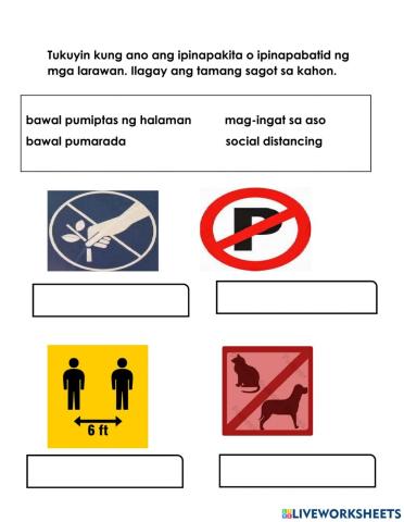 Pagkuha ng impormasyon mula sa larawan