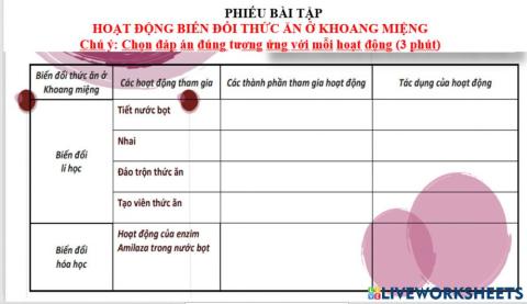 Tiêu hoá ở khoang miệng