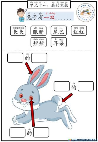 BCSK T5 单元十一：我的宠物 Haiwan Peliharaan Saya (兔子有一双...)