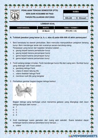 Pas tema 1 ipa