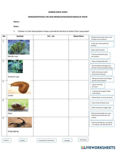 LKPD KLASIFIKASI MAKHLUK HIDUP