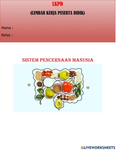 Sistem pencernaan manusia