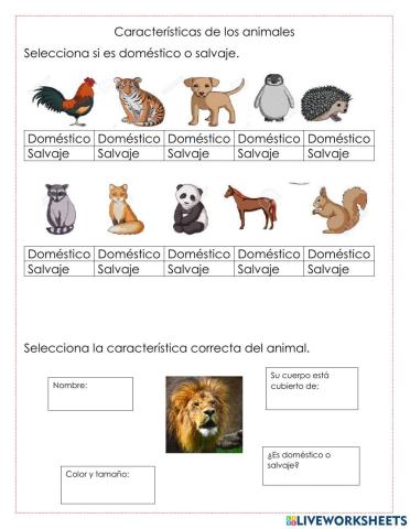 Características de los animales