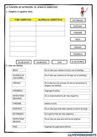 Función de nutrición: aparato digestivo