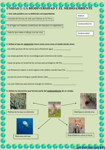 La biodiversidad y el medioambiente