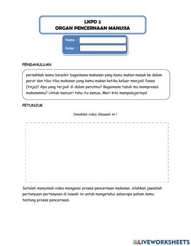 Sistem pencernaan manusia