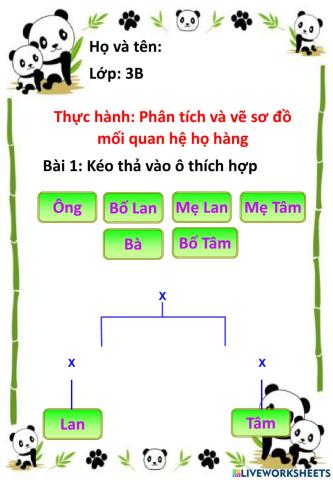 Thực hành: Phân tích và vẽ sơ đồ mối quan hệ họ hàng (TT)