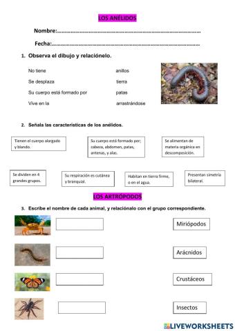 Los anélidos y artrópodos