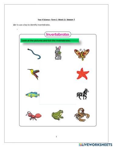 Term 1 Science week 11 lesson 1