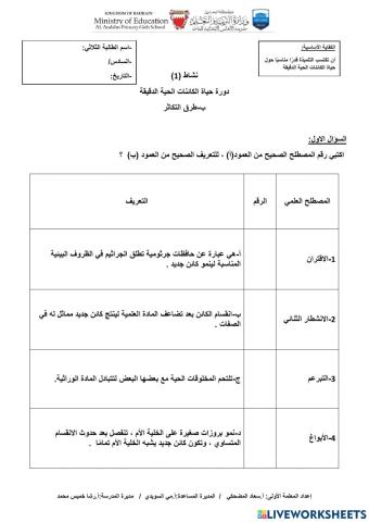 تكاثر الكائنات الحية الدقيقة