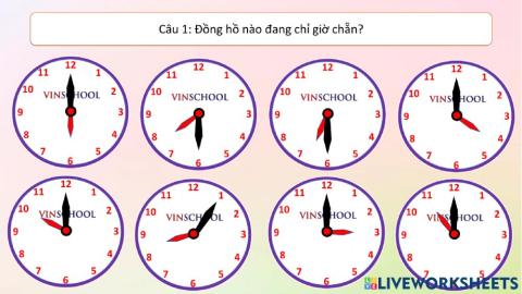 Bài tập ôn tập giờ chẵn