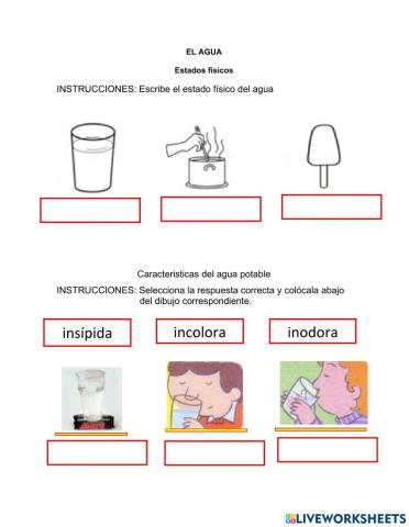 Estados y características del agua