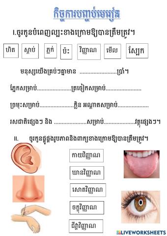 កិច្ចការបញ្ចប់មេរៀន