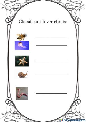 Invertebrats