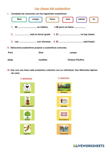 Reconocemos el sustantivo común y propio