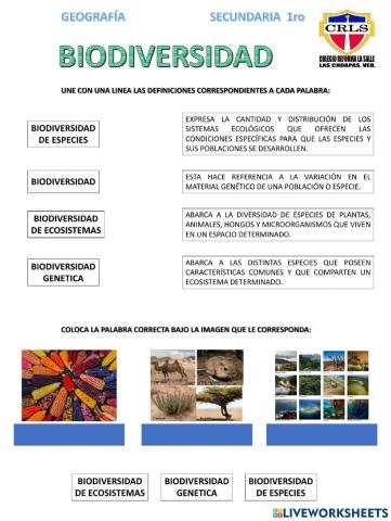 Biodiversidad