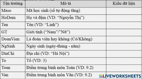 Chọn kiểu dữ liệu cho trường trong bảng