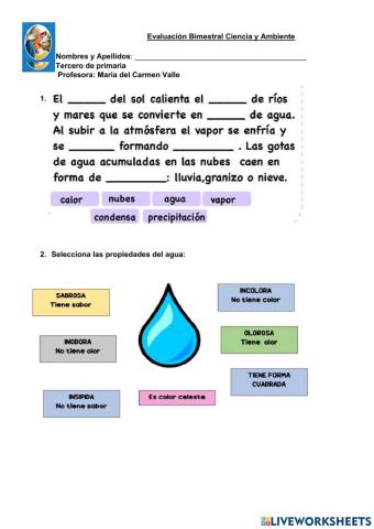 Evaluación ciencia