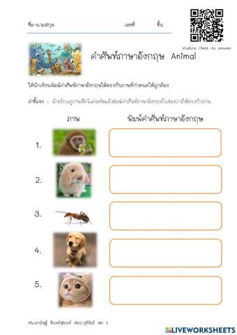 ภาษาต่างประเทศ