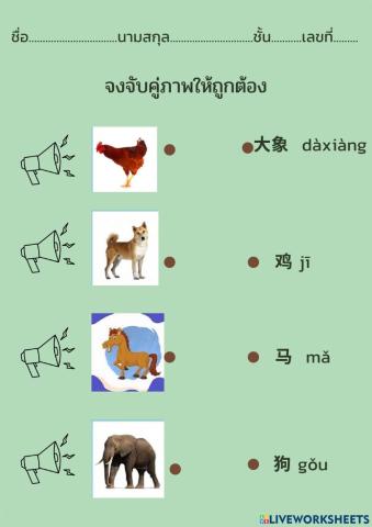 จับคู่ภาพสัตว์