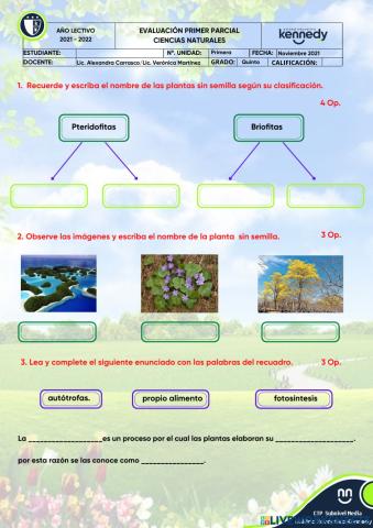 UE KENNEDY Evaluación 1P Ciencias Naturales