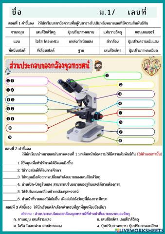 แบบทดสอบ เรื่อง ส่วนประกอบและหน้าที่ของกล้องจุลทรรศน์