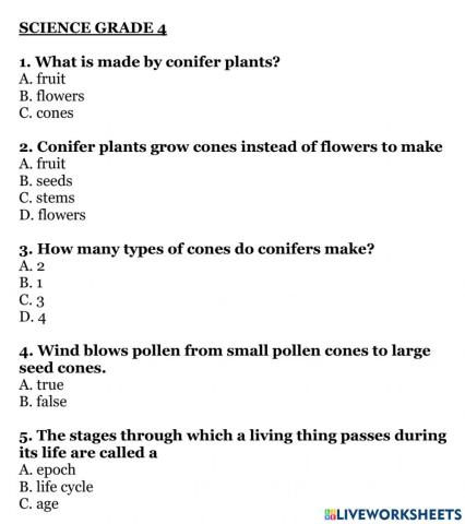 Science 4 week 10