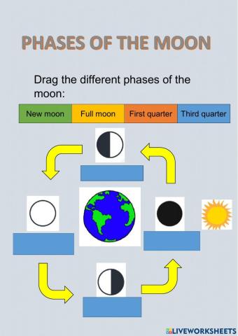 Phases of the moon