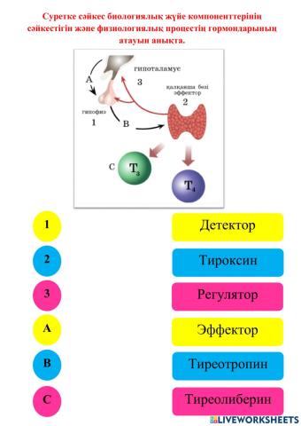 Басқару жүйесі