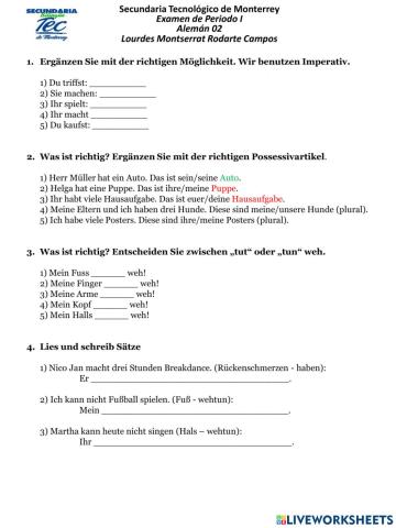 Examen primer periodo Alemán II