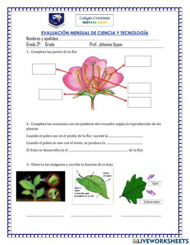 Evaluación mensual de ciencia y tecnología