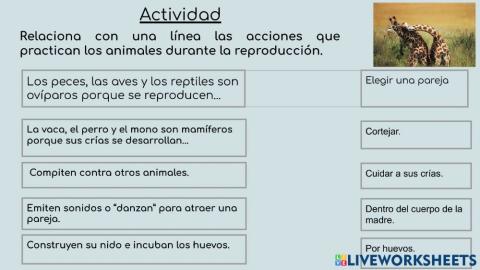 Reproducción sexual de los animales