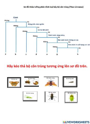 TH Xây dựng khóa lưỡng phân