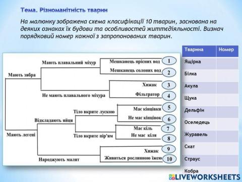 Різноманітність тварин