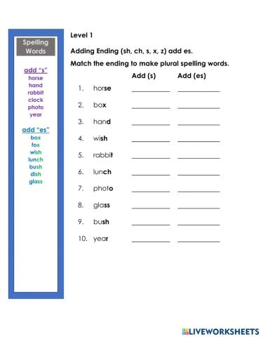 Spelling Plural Nouns s and es